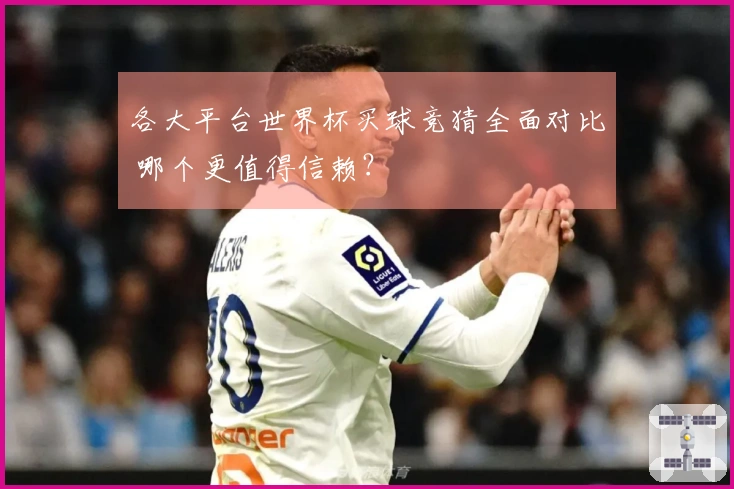 各大平台世界杯买球竞猜全面对比 哪个更值得信赖？