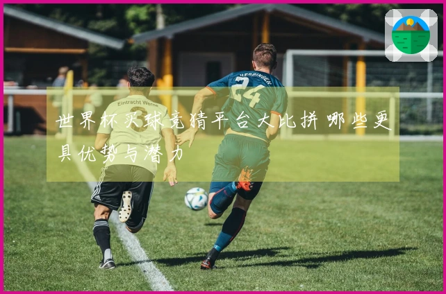 世界杯买球竞猜平台大比拼 哪些更具优势与潜力